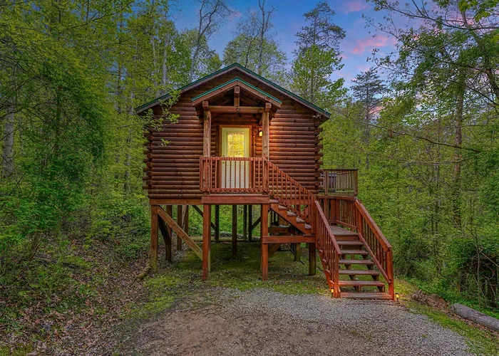 Blue Rose Cabins - Overlook Cabin